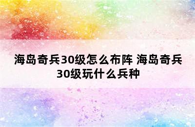 海岛奇兵30级怎么布阵 海岛奇兵30级玩什么兵种